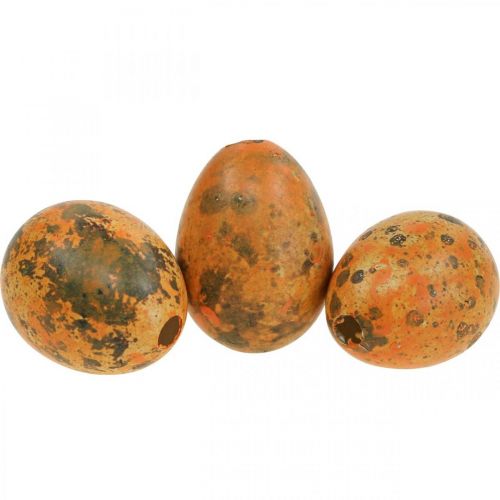 Floristik24 Quail eggs decoration blown eggs orange apricot 3cm 50pcs