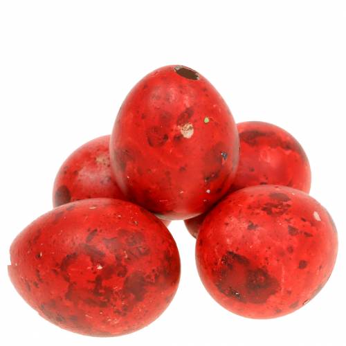 Floristik24 Quail Eggs Red Blown Eggs 50pcs