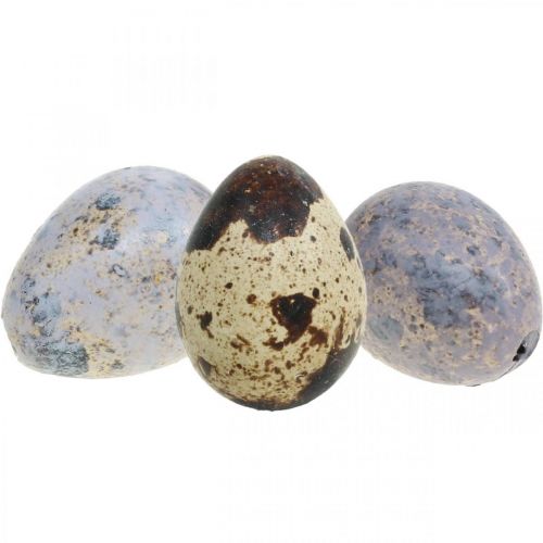 Floristik24 Quail egg mix purple, violet, nature empty eggs as decoration 3cm 65p