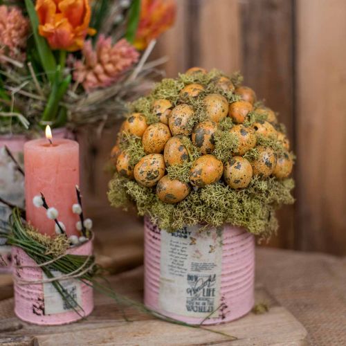 Product Quail eggs decoration blown eggs orange apricot 3cm 50 pcs