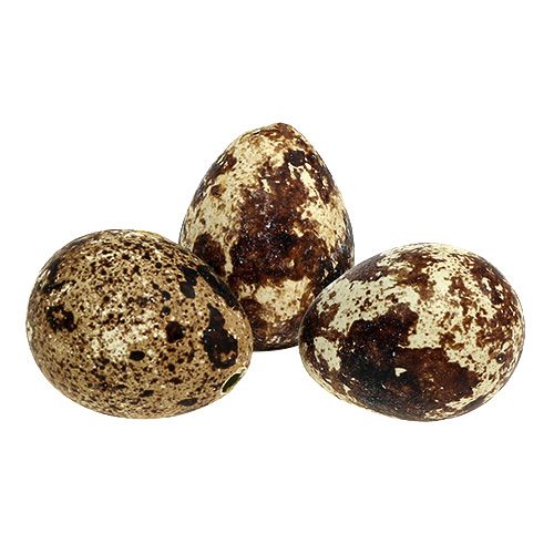 Floristik24 Quail eggs as decoration empty natural 50 pieces