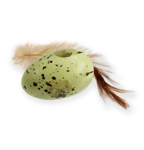 Floristik24 Quail eggs with feather 4cm 24pcs