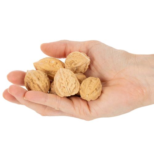 Natural Brown Decorative Walnuts, 3-4cm, 300g | Floristik24.co.uk