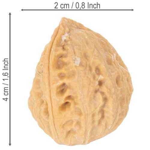 Natural Brown Decorative Walnuts, 3-4cm, 300g | Floristik24.co.uk