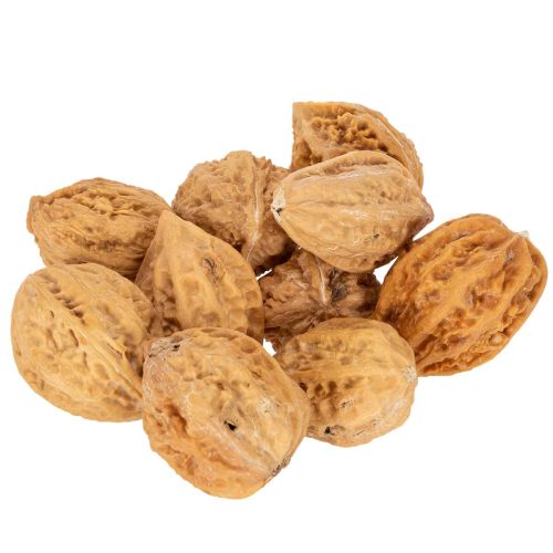 Natural Brown Walnuts for Decoration and DIY, 4-5cm, 300g | Floristik24.co.uk