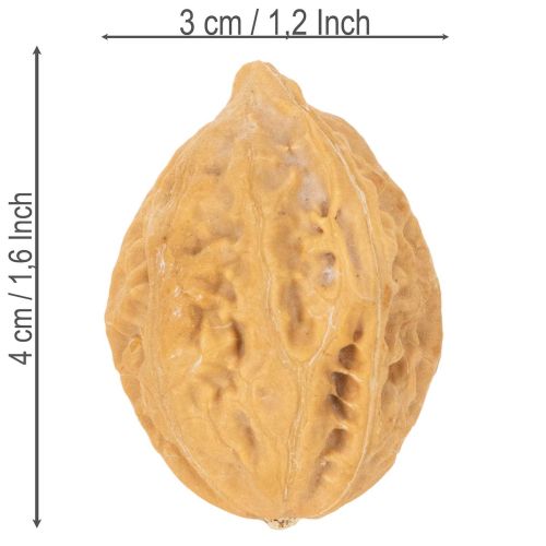 Natural Brown Walnuts for Decoration and DIY, 4-5cm, 300g | Floristik24.co.uk