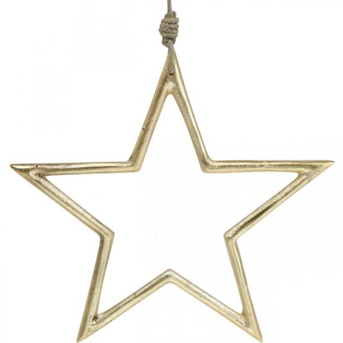 Floristik24 Christmas decoration star, Advent decoration, star pendant Golden B24.5cm