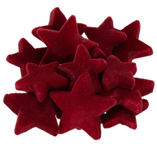 Christmas decorations, stars, Bordeaux flocked, table decoration, 4-5cm, 40 pieces buy online | Floristik24.co.uk