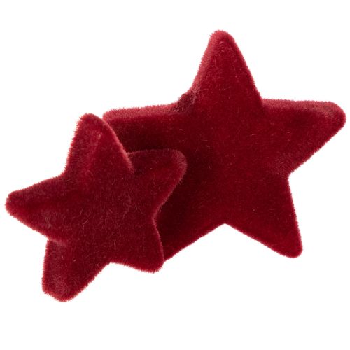 Christmas decorations, stars, Bordeaux flocked, table decoration, 4-5cm, 40 pieces | Floristik24.co.uk