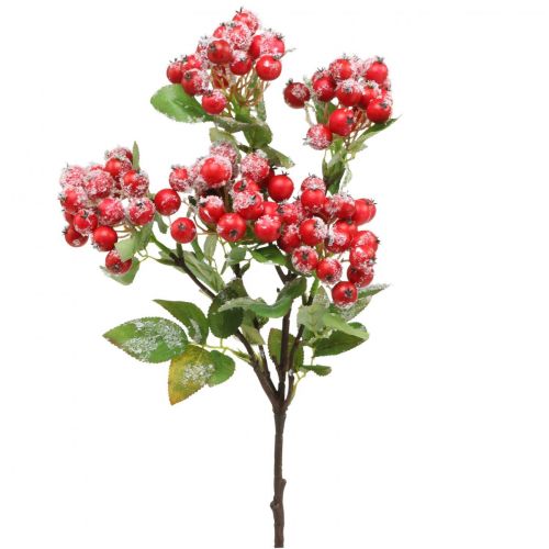Product Christmas branches with red berries, winter decoration, harpberry red snowed L58cm