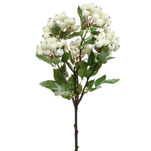 Floristik24 Christmas branches, snowberry, artificial plant snowed L58cm