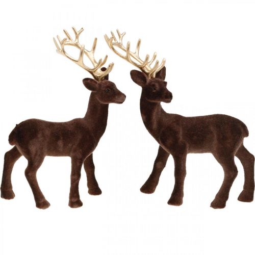 Floristik24 Christmas decoration deer to place brown, gold 20cm 2pcs