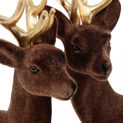 Floristik24 Christmas decoration decorative deer for standing brown, gold 20cm 2 pcs
