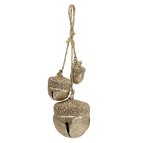 Floristik24 Hanging Decoration Acorns Champagne 3cm-5cm L16cm 3pcs