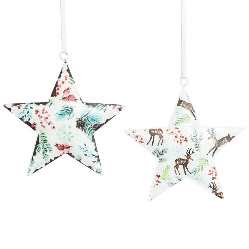 Floristik24 Christmas decoration star deer needles berries Ø8cm 6 pcs