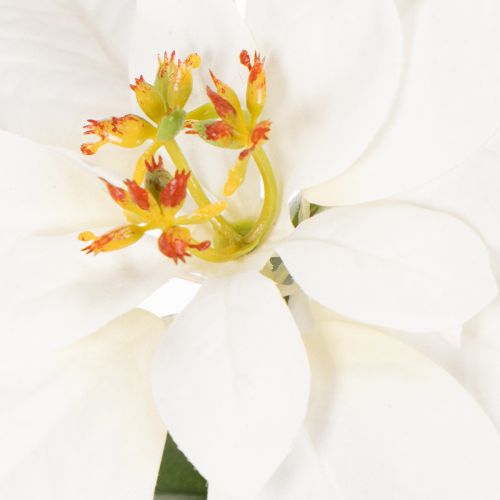 Artificial White Poinsettia Flower Stem 40cm | Floristik24.co.uk