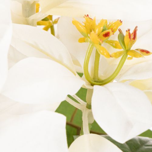 Artificial White Poinsettia Flower Stem 40cm | Floristik24.co.uk