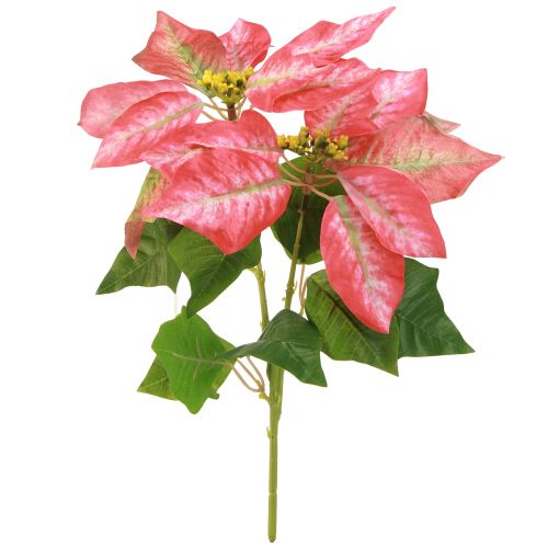 Floristik24 Poinsettia Artificial Red Pink L35cm 6pcs 2 bunch
