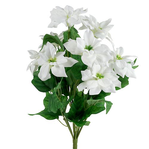 Floristik24 Poinsettia bouquet white L45cm