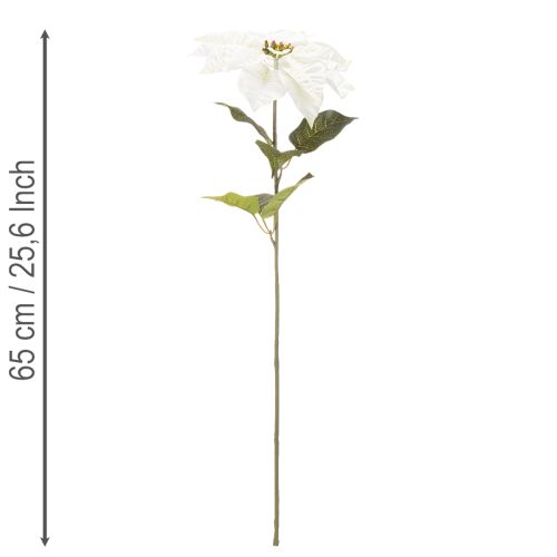 Artificial white poinsettia, large flowering branch decoration, 65cm, 2 pieces | Floristik24.co.uk