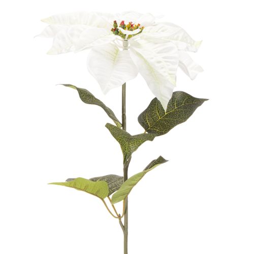 Artificial white poinsettia, large flowering branch decoration, 65cm, 2 pieces | Floristik24.co.uk