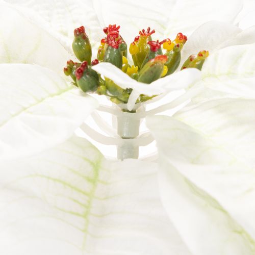 Artificial white poinsettia, large flowering branch decoration, 65cm, 2 pieces | Floristik24.co.uk