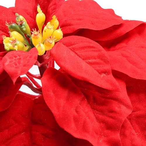 Product Poinsettia red 65cm