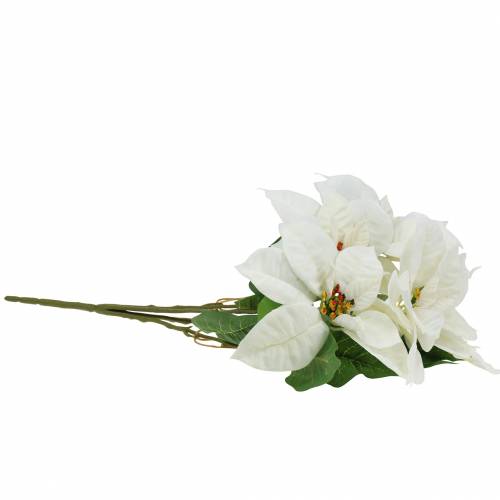 Floristik24 Poinsettia Bouquet White 52cm