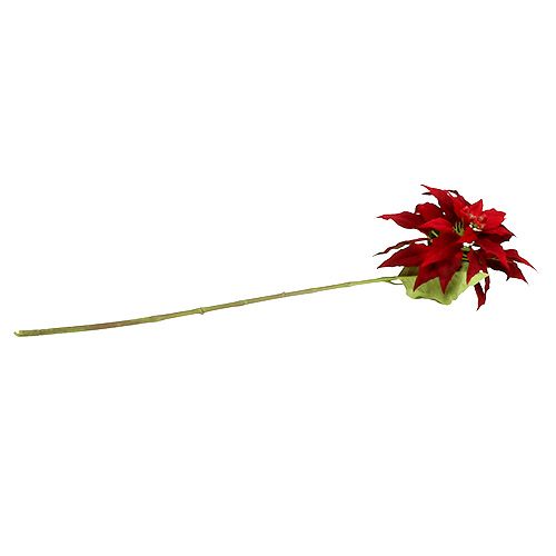 Floristik24 Christmas star red 70cm