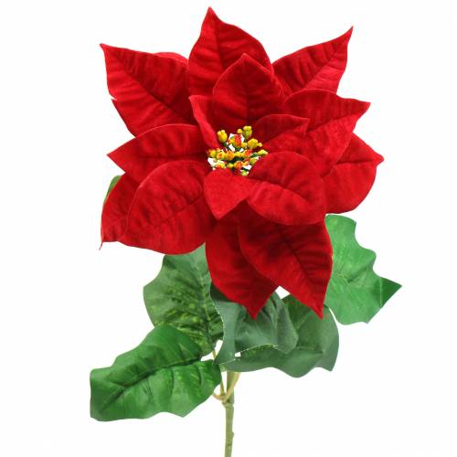 Floristik24 Poinsettia artificial flower red 67cm