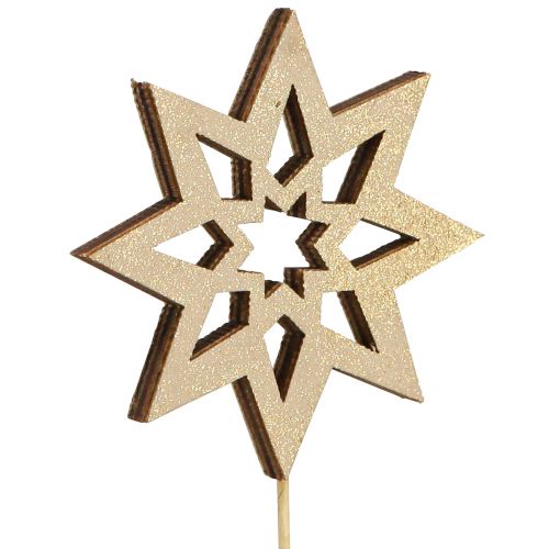 Floristik24 Christmas Stars Pot stakes Bronze Gold Ø5.5cm 18 pcs