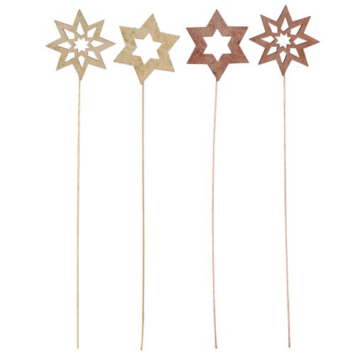 Floristik24 Christmas Stars Pot stakes Bronze Gold Ø5.5cm 18 pcs