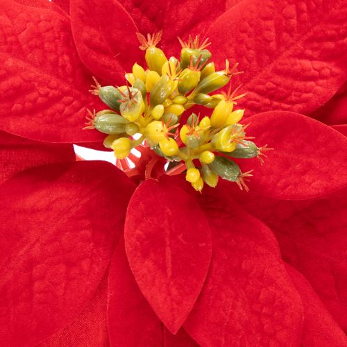 Artificial Red Poinsettia Single Stem 82cm Christmas Decoration | Floristik24.co.uk