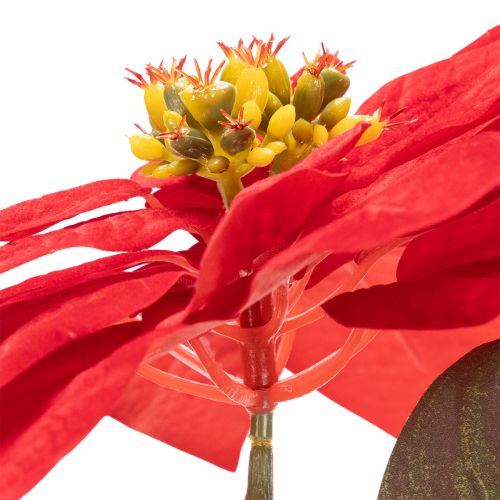 Artificial Red Poinsettia Single Stem 82cm Christmas Decoration | Floristik24.co.uk