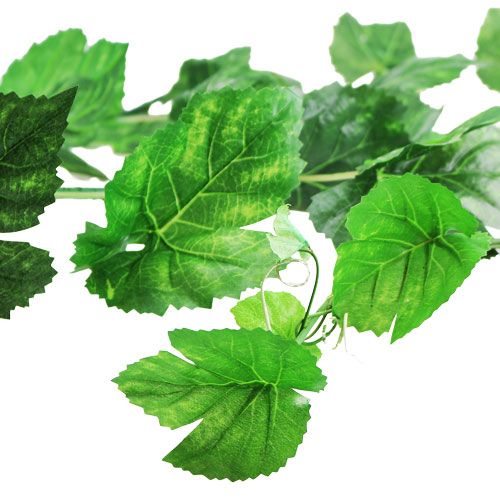 Floristik24 Vine leaf garland green 2,7m