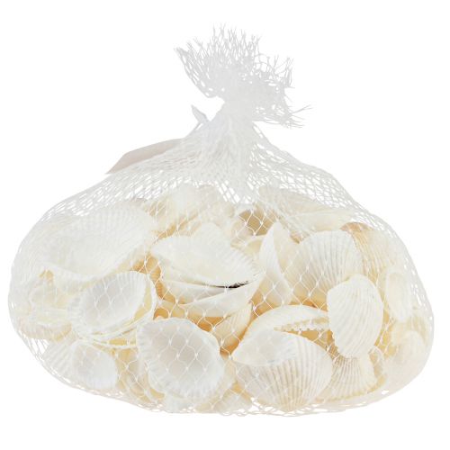 Product White shells decorative cockles cream white 2-3.5cm 300g