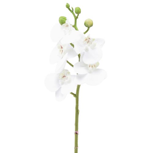 White Artificial Orchid Phalaenopsis Real Touch 32cm