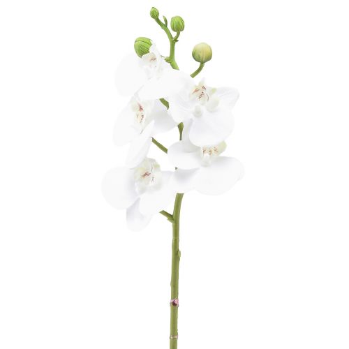 Floristik24 White Artificial Orchid Phalaenopsis Real Touch 32cm