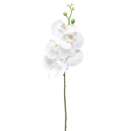 Product White Artificial Orchid Phalaenopsis Real Touch 85cm