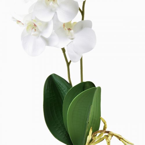 Product White Orchid on Pick Artificial Phalaenopsis Real Touch 39cm