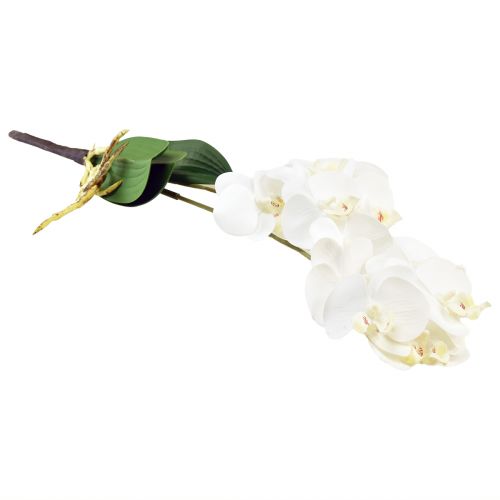 Product White Orchid on Pick Artificial Phalaenopsis Real Touch 39cm