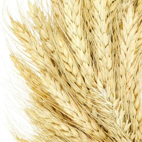 Product Natural wreath, wheat wreath, wheat wreath, grain wreath 30cm