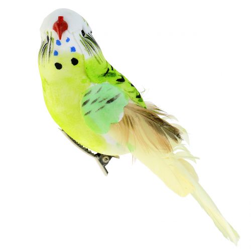 Floristik24 Budgie on clip green 13cm 6pcs