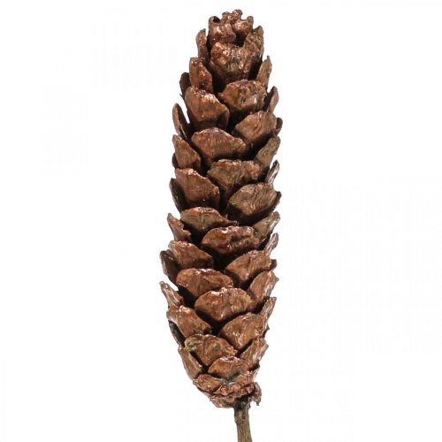 Product White pine cones Pine cones copper 70cm 7pcs bundle