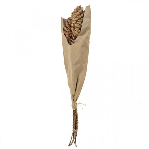 Floristik24 Weymouth pine cones pine cones H70cm 7 pcs bunch