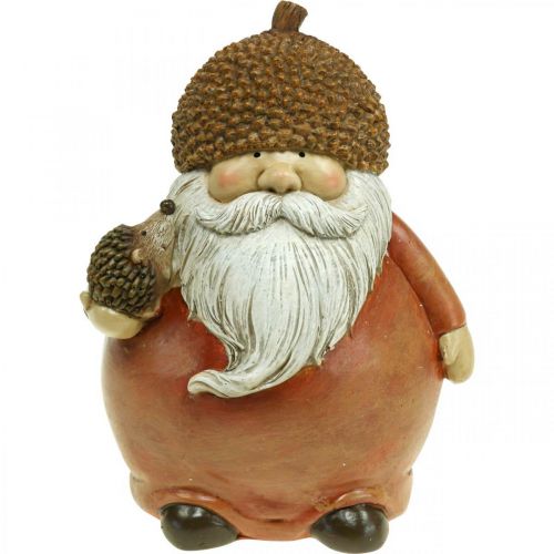 Floristik24 Imp figure with acorn and hedgehog decorative figure autumn brown H19cm