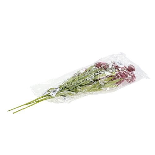Floristik24 Meadow flowers red L60cm 3pcs
