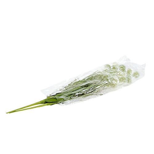 Floristik24 Meadow flowers white L60cm 3pcs