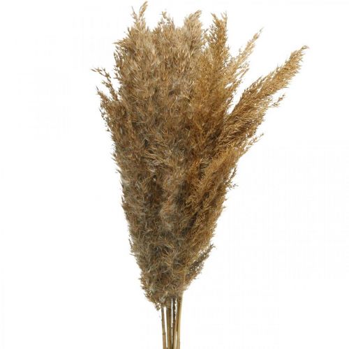 Dry grass sedge natural dry decoration 75cm 10p