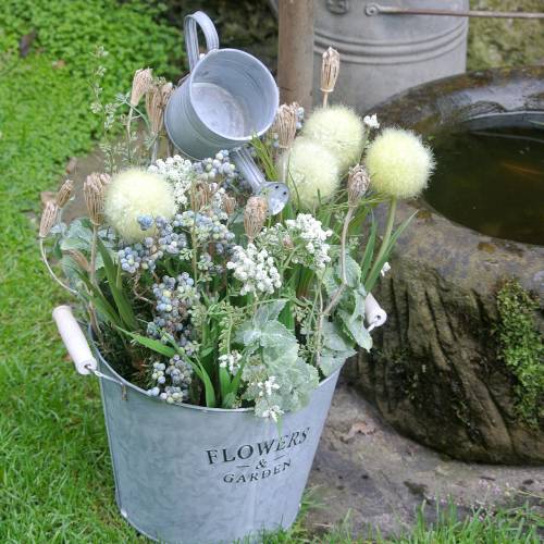 Floristik24 Wildflower Bunch, natural yarrow, washed white 30–60cm 150g